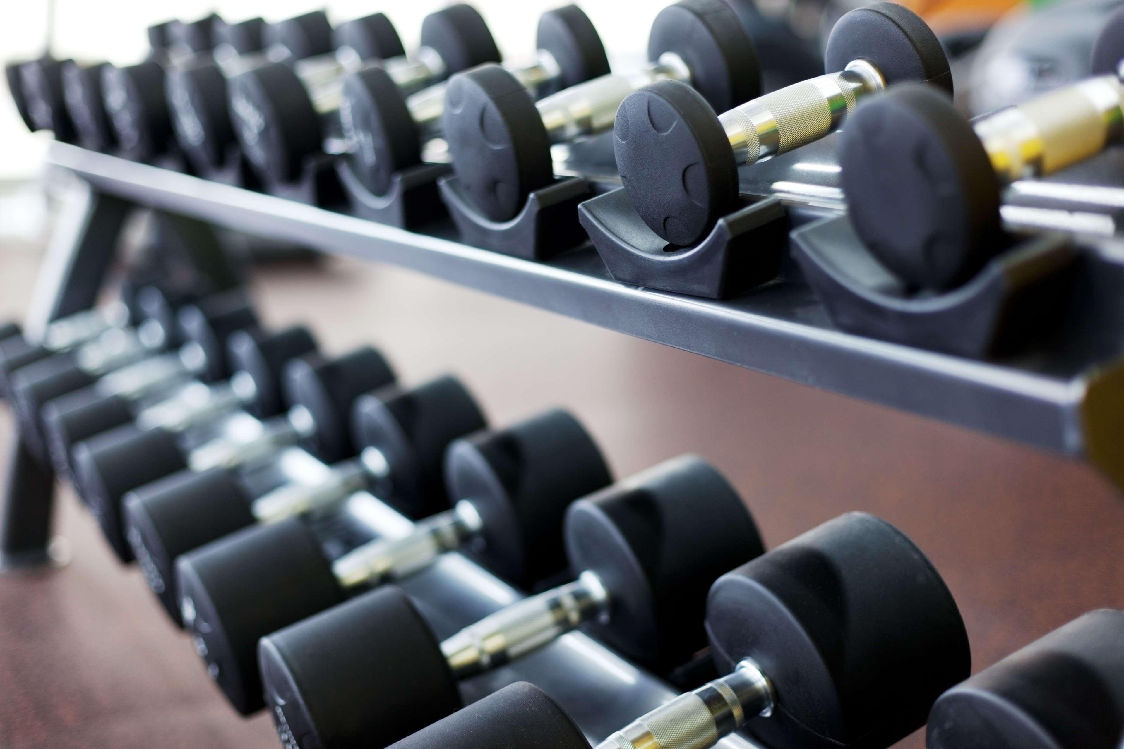 Ayla Grand Hotel Al-Ajn Zewnętrze zdjęcie Dumbbells on a rack